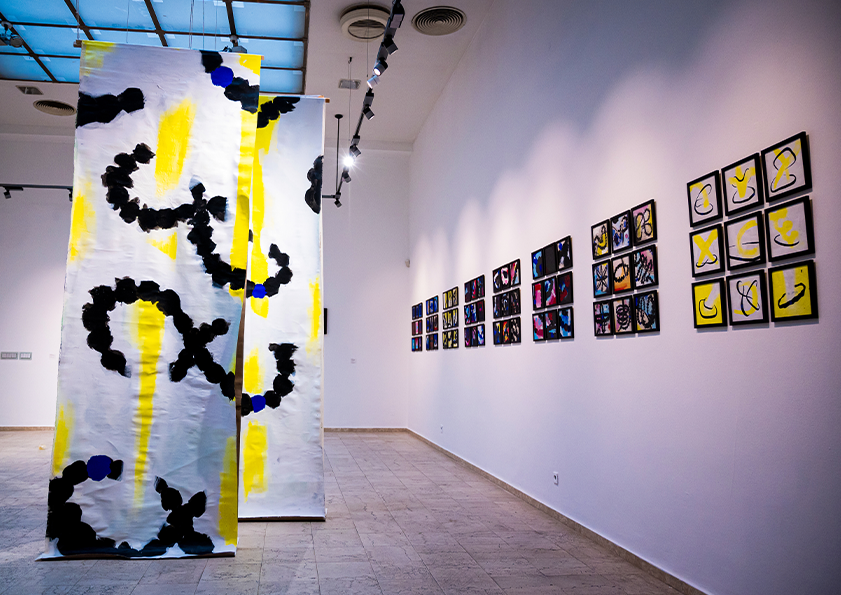 coexistance-2021-in-situ-installation-credo-bonum-gallery-sofia-ink-acrylic-canvas-cardboard-72-paintings-6-morphic-canvases